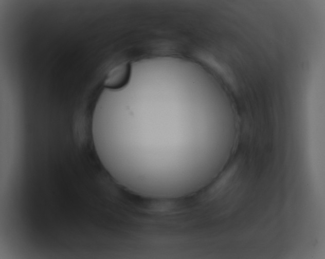 X0000100941211200807081227