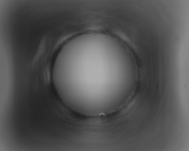 X0000100941214200807081227