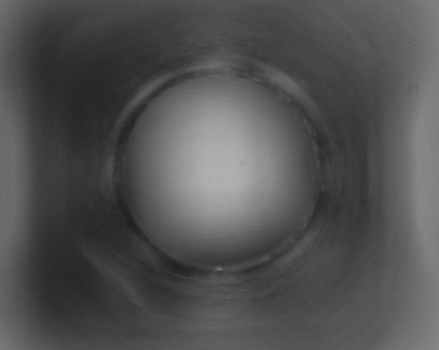 X0000100941216200807081227