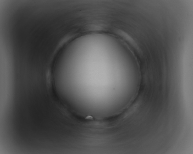 X0000100941218200807081227