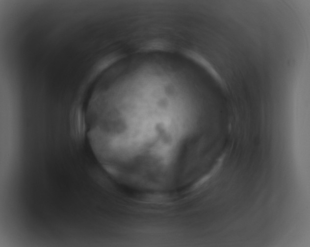 X0000100941219200807081227