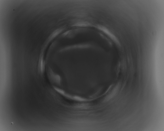 X0000100941221200807081227