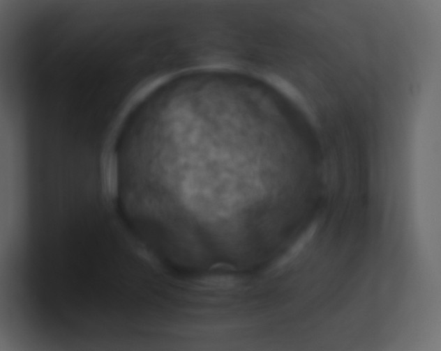 X0000100941223200807081227