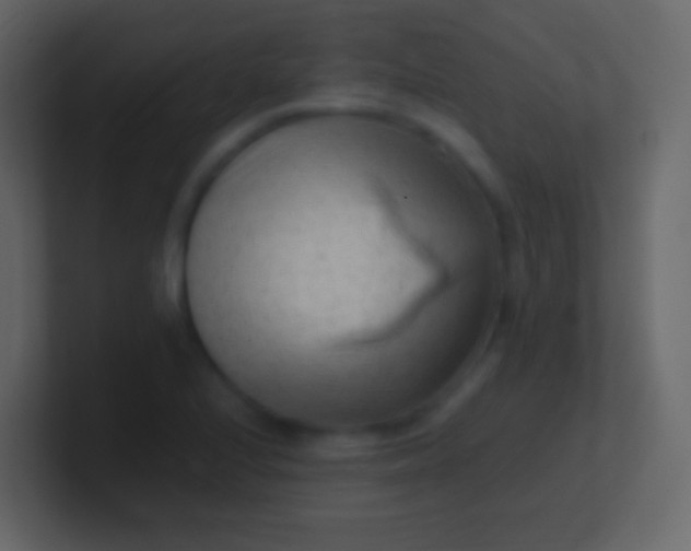 X0000100941224200807081227