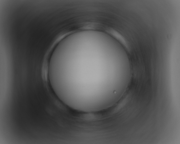 X0000100941227200807081227