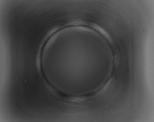 X0000100941229200807081227