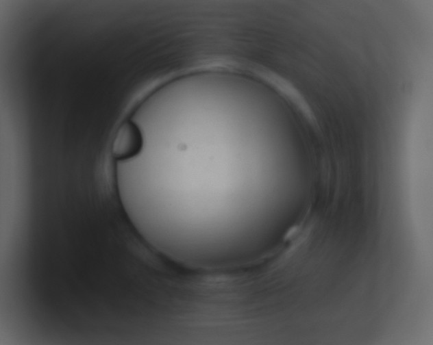 X0000100941230200807081227