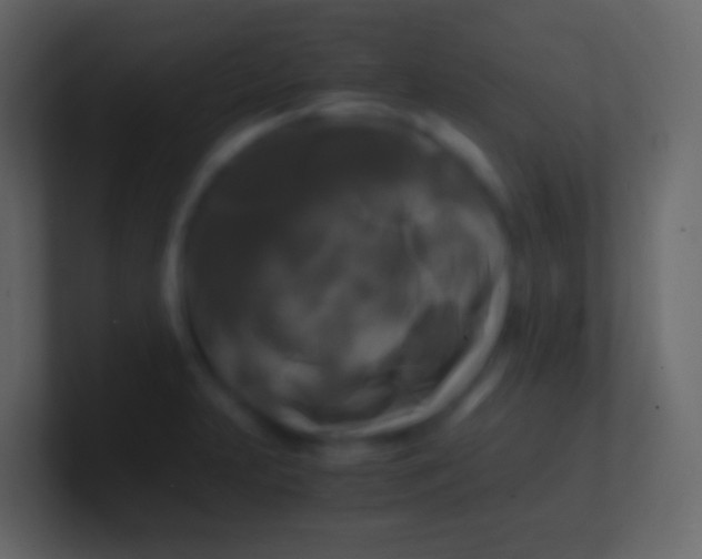 X0000100941231200807081227