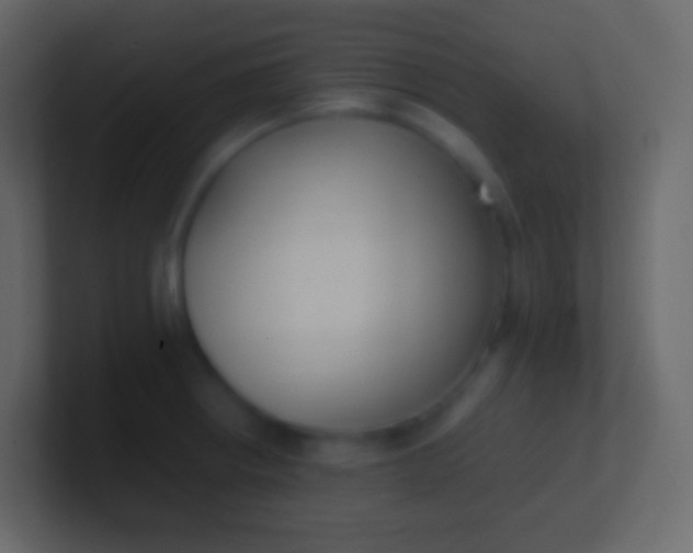 X0000100941234200807081227