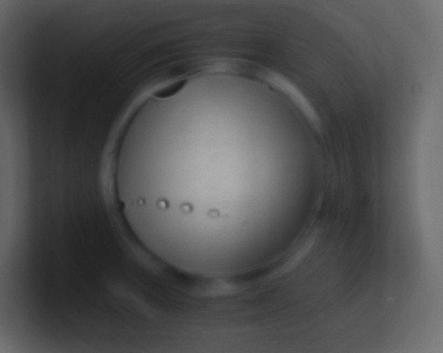 X0000100941235200807081227