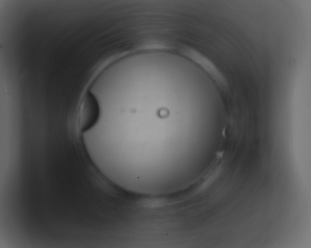 X0000100941236200807081227