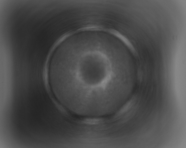 X0000100941237200807081227