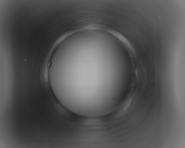 X0000100941238200807081228