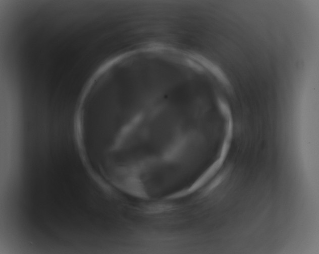 X0000100941239200807081228