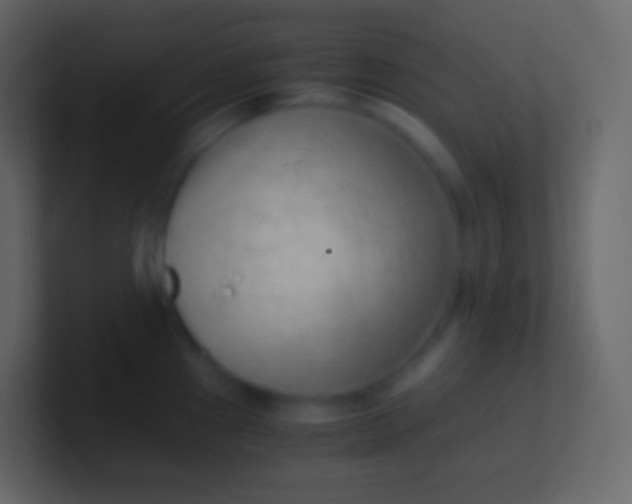 X0000100941241200807081228