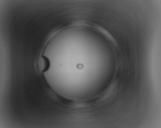 X0000100941242200807081228