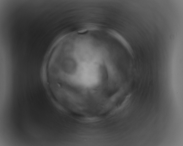 X0000100941243200807081228