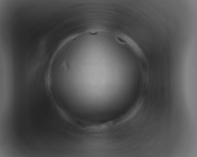 X0000100941244200807081228