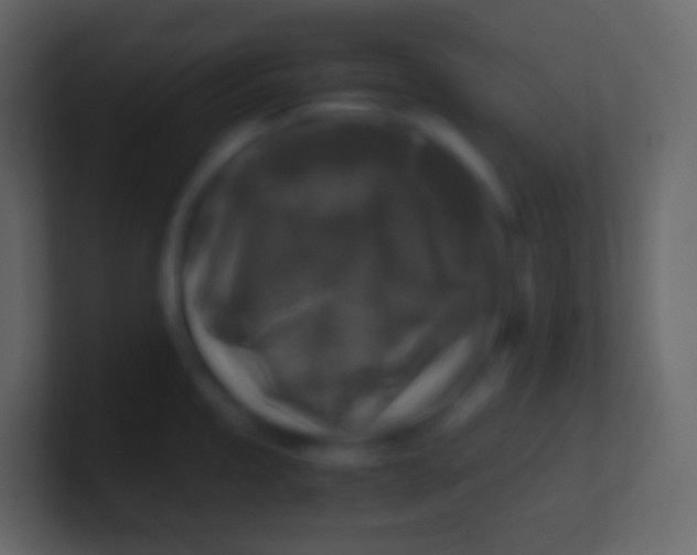 X0000100941245200807081228