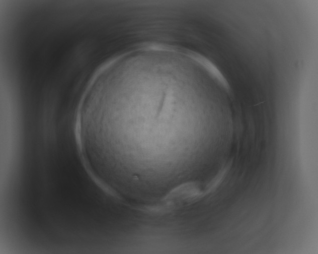 X0000100941247200807081228