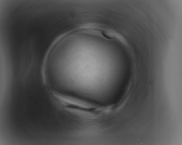 X0000100941248200807081228