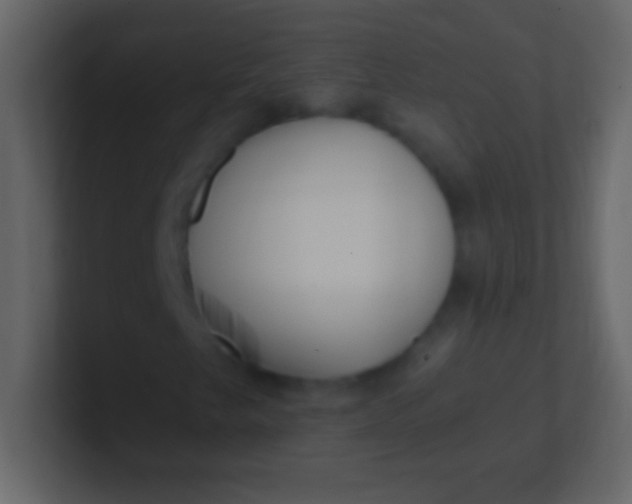 X0000100941249200807081227