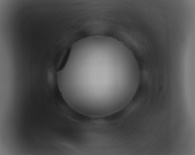 X0000100941250200807081227