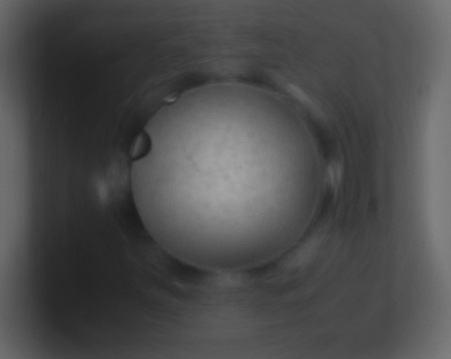 X0000100941251200807081227