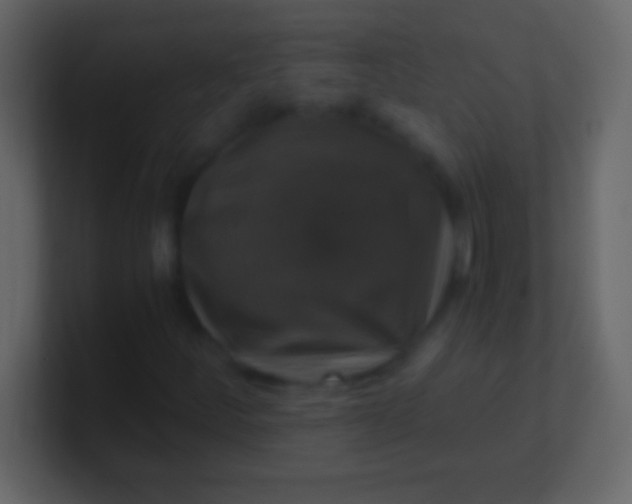 X0000100941252200807081227