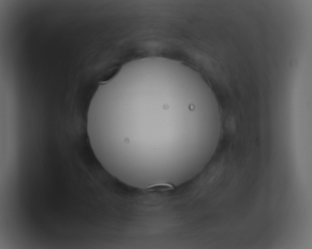 X0000100941253200807081227