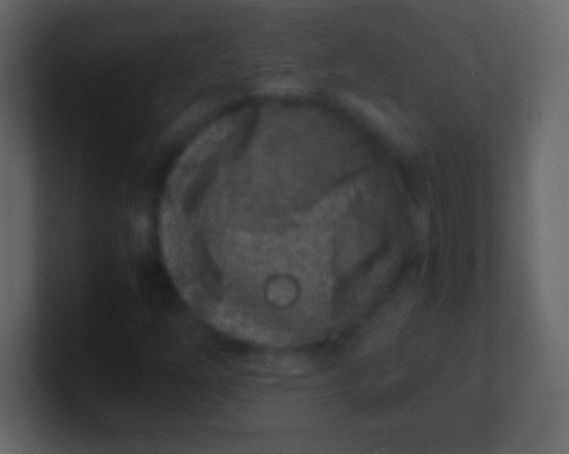 X0000100941254200807081227