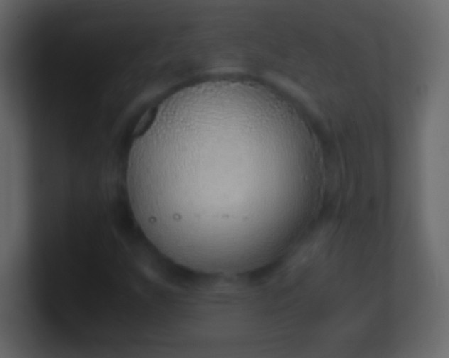 X0000100941255200807081227