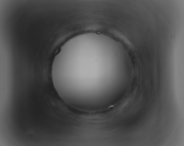 X0000100941256200807081227