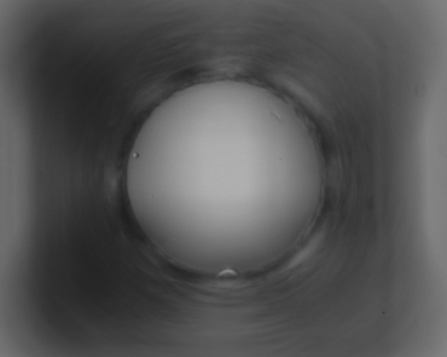 X0000100941257200807081227