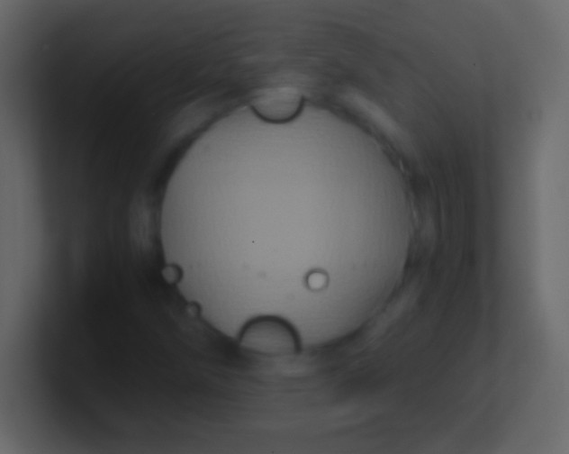 X0000100941258200807081227