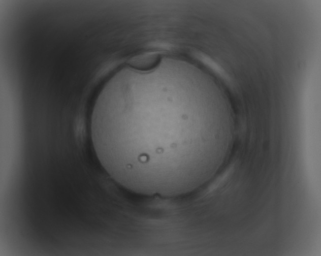 X0000100941259200807081227