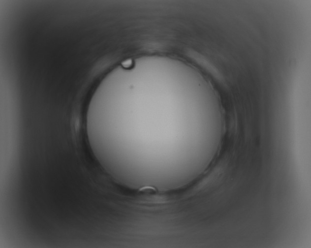 X0000100941261200807081227