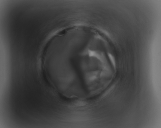 X0000100941263200807081227