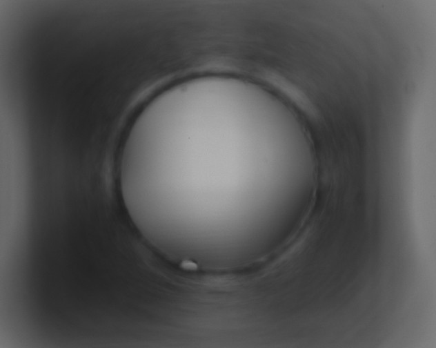 X0000100941264200807081227