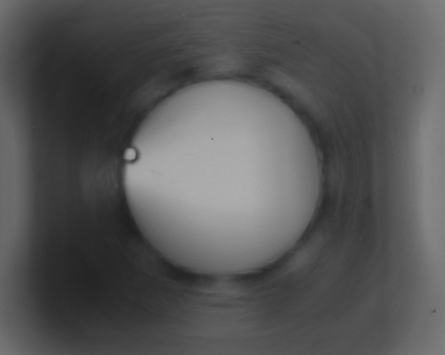 X0000100941265200807081227