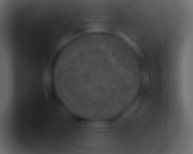 X0000100941266200807081227