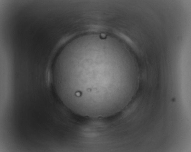 X0000100941267200807081227