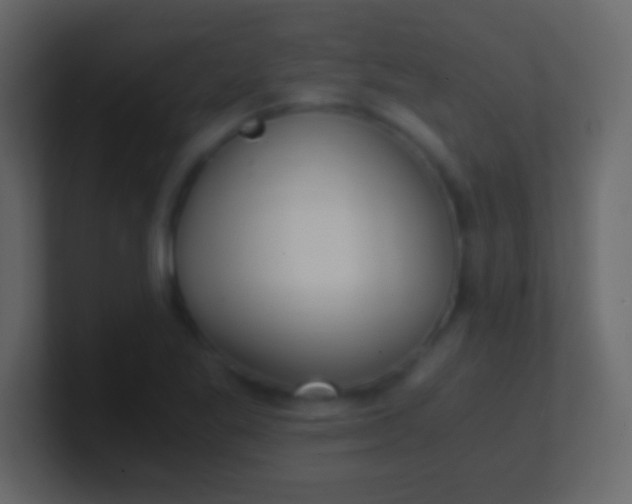 X0000100941269200807081227