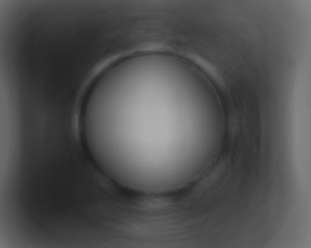 X0000100941270200807081227