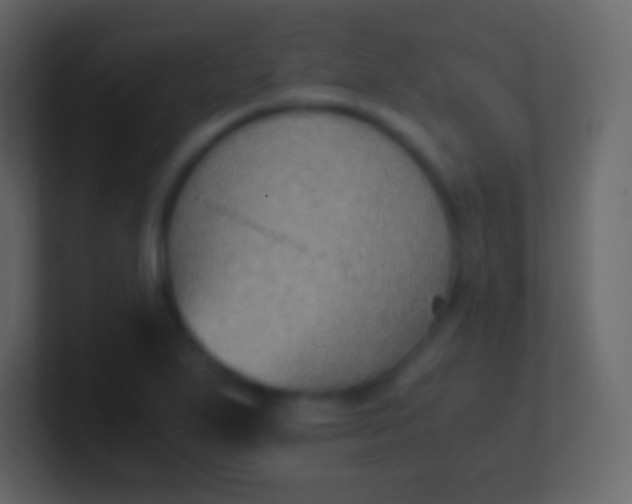 X0000100941271200807081227