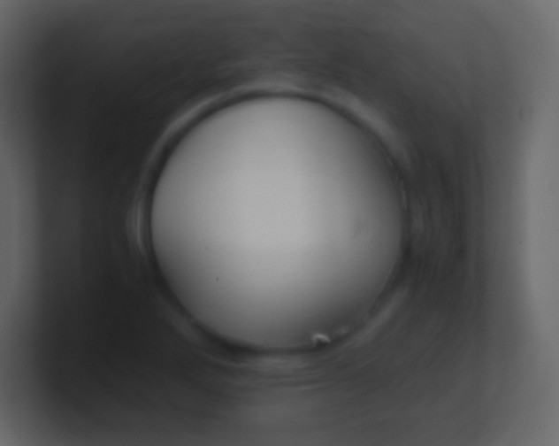 X0000100941272200807081227