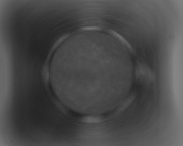 X0000100941274200807081227