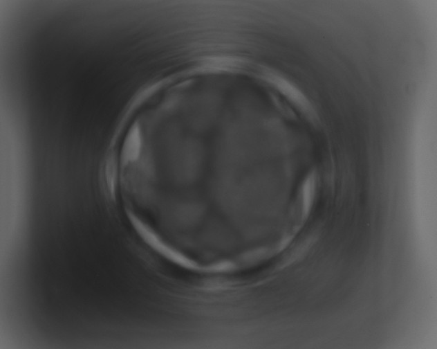 X0000100941275200807081227