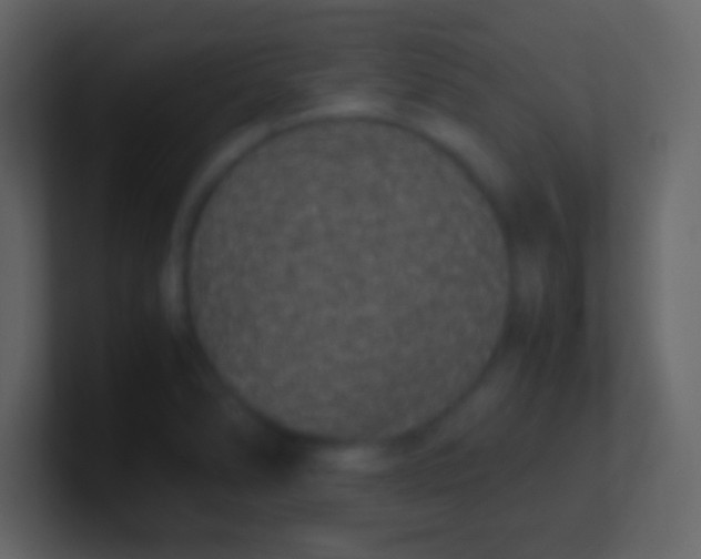 X0000100941278200807081227