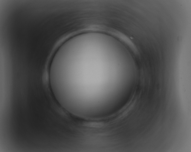 X0000100941280200807081227